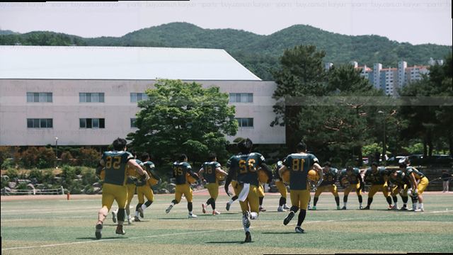 掌心里的实时赛况